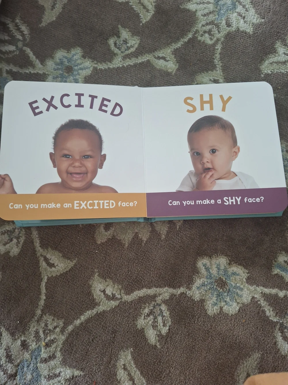 Baby's Feelings: A First Book of Emotions - Teal & White